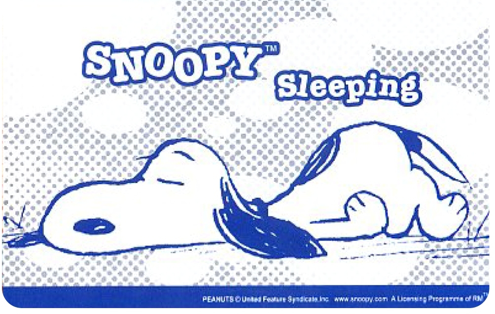 SNOOPY開心的一天-Sleeping