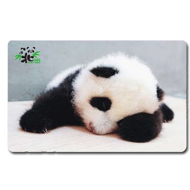 貓熊悠遊卡-趴趴圓仔