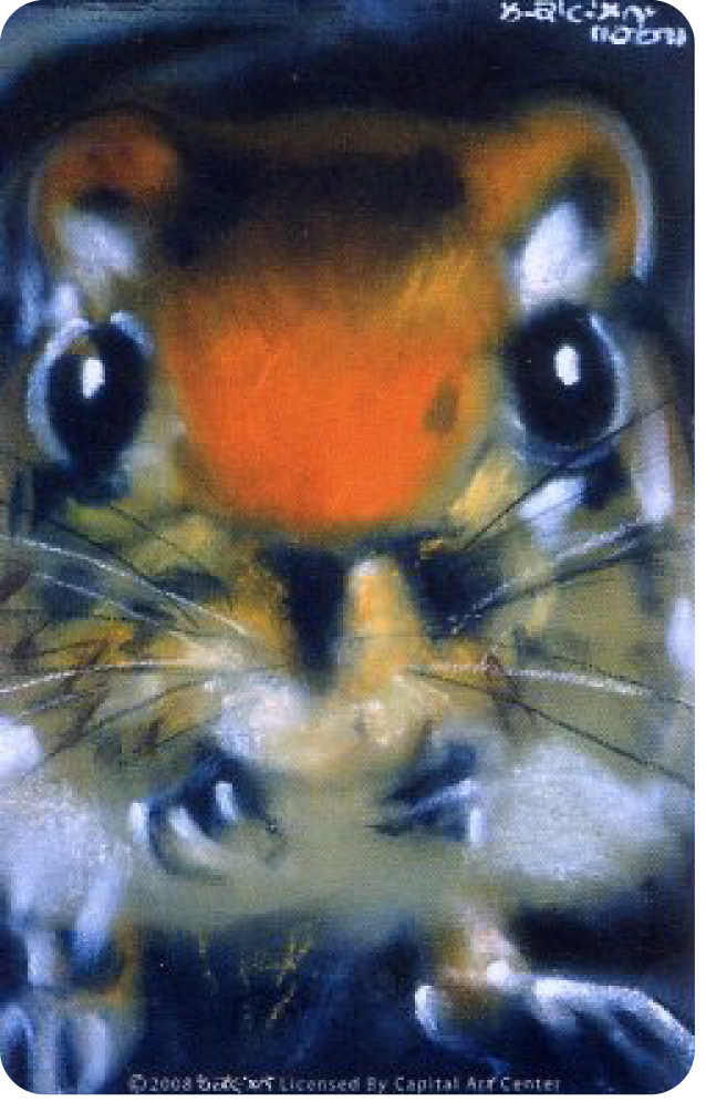 2008鼠年生肖紀念版-鼠來寶